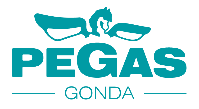 PEGAS GONDA